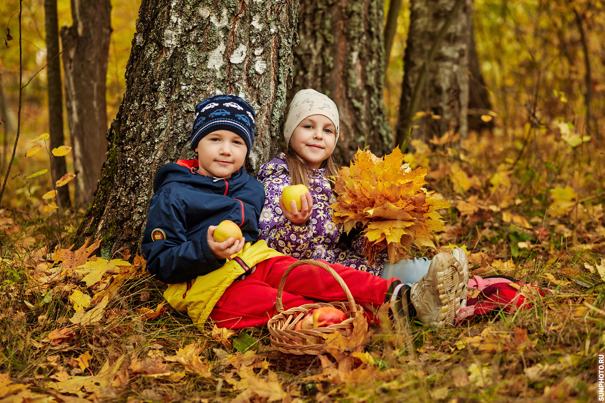 Осенняя фотосессия для выпускников детского сада №39 (Солнечногорск, Миронцево, выпуск 2023)